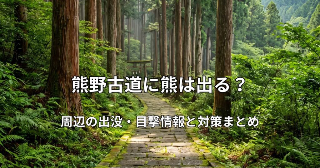 苔むした石畳と高くそびえる杉林が続く、静寂に包まれた熊野古道の風景。