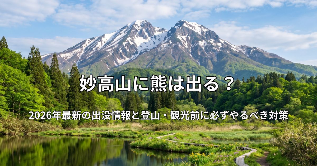 残雪の妙高山を背景にした「いもり池」の風景。水面に映る山影と、湿原の木道、手前に咲く黄色いミズバショウ。