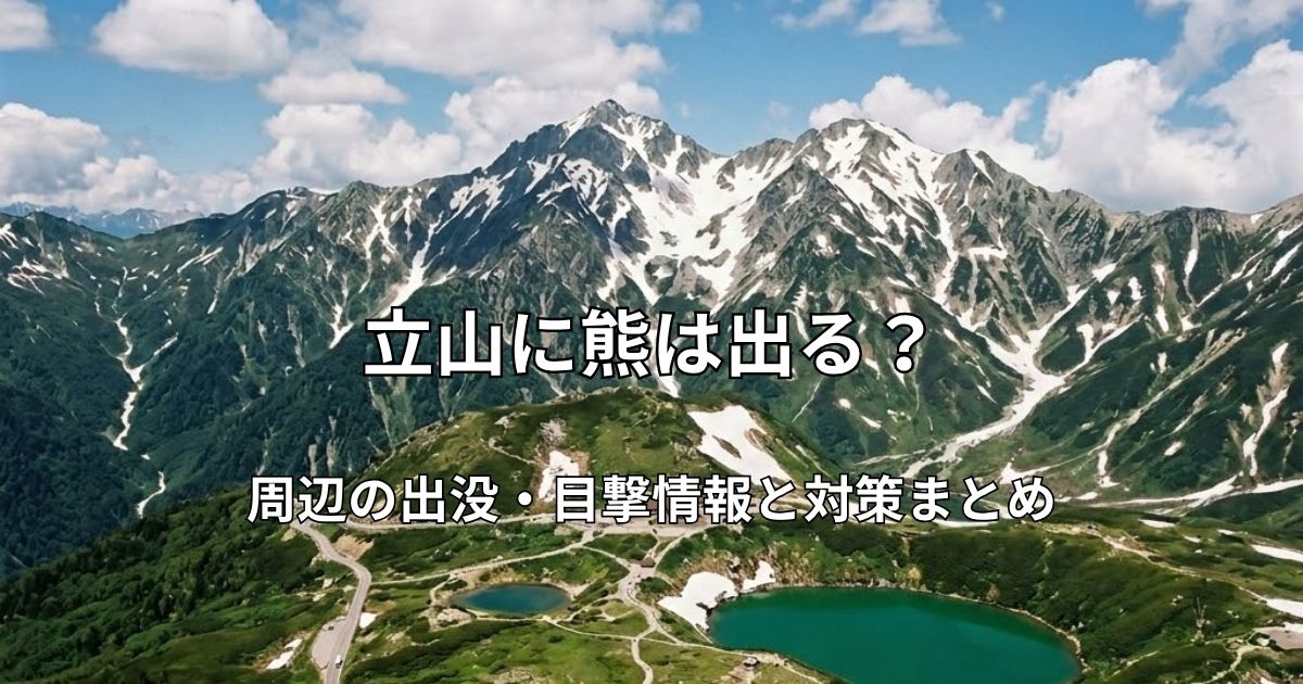 立山黒部アルペンルート・室堂平を上空から見下ろした風景。みくりが池と残雪の立山連峰。