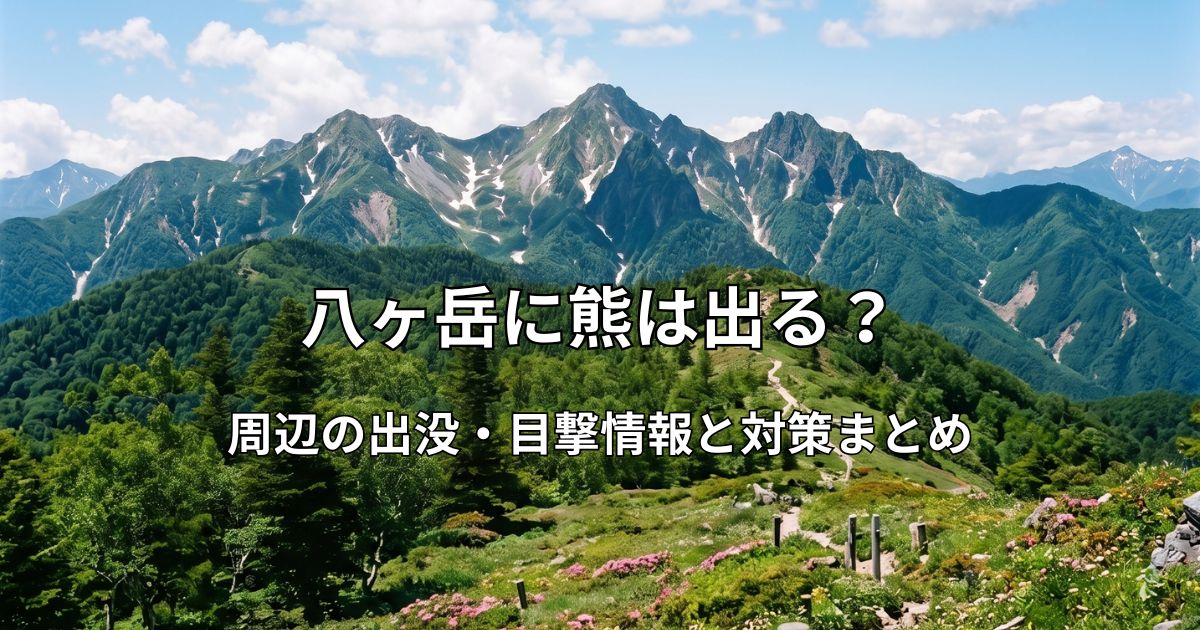 花畑が広がる登山道の先にそびえる、初夏の雄大な八ヶ岳連峰