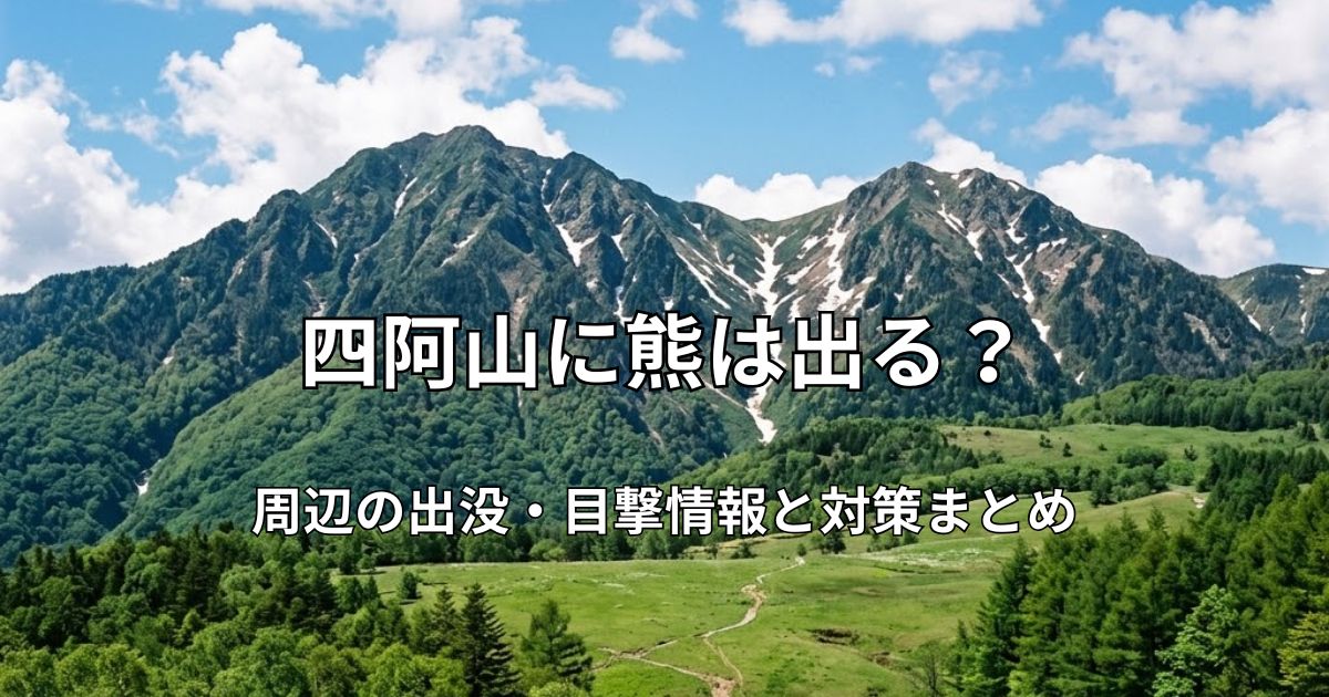 四阿山の登山道と、奥にそびえる残雪の山並み。