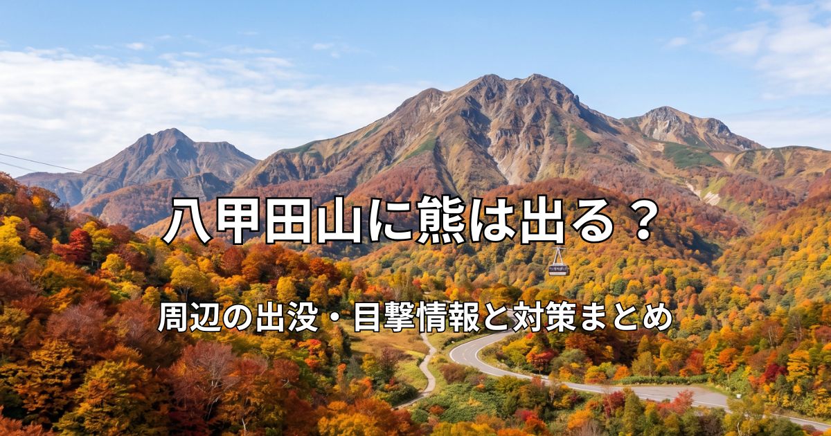 紅葉に染まる秋の八甲田山系と、青空の下を走る八甲田ロープウェーの遠景風景