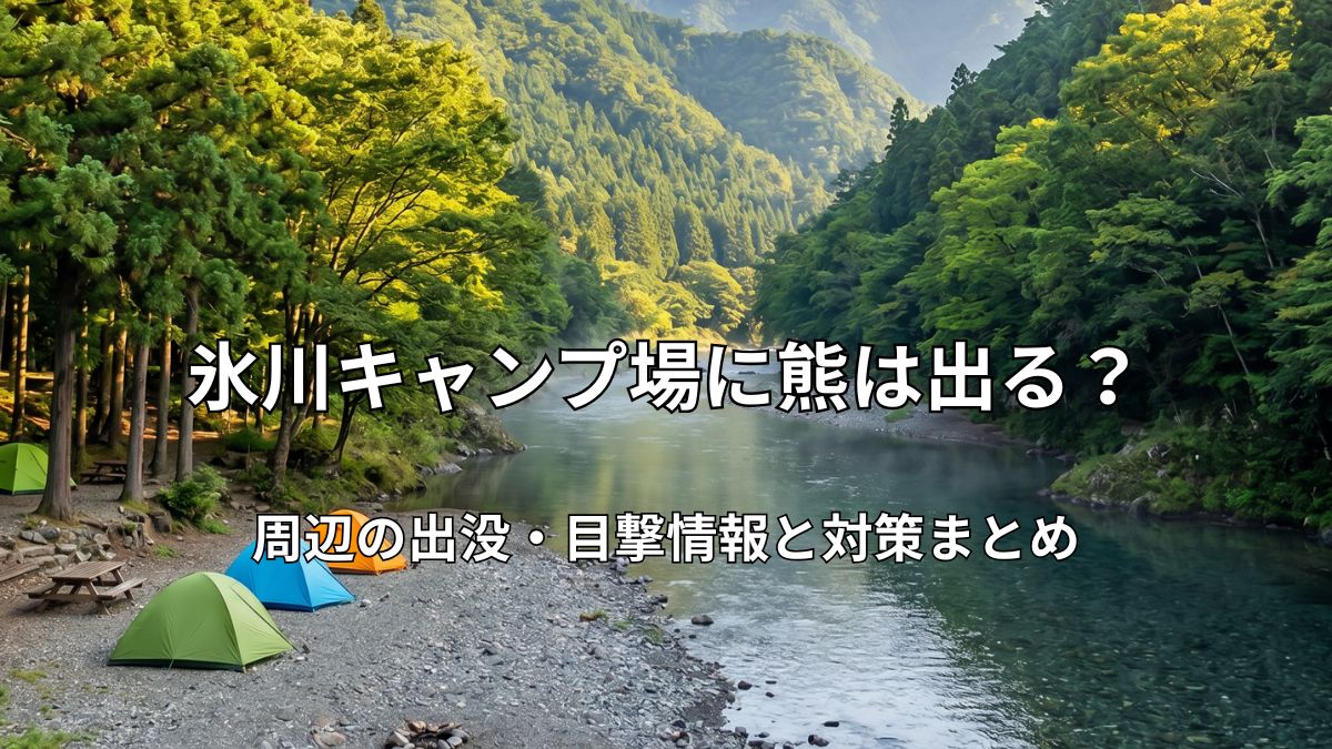 奥多摩の多摩川沿いにある氷川キャンプ場の美しい河原サイトとカラフルなテントの風景
