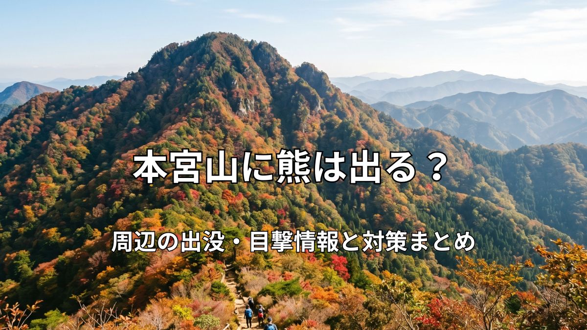美しい紅葉に彩られた本宮山の尾根を歩く登山者たちと、遠くに広がる三河山間部の山並みの風景