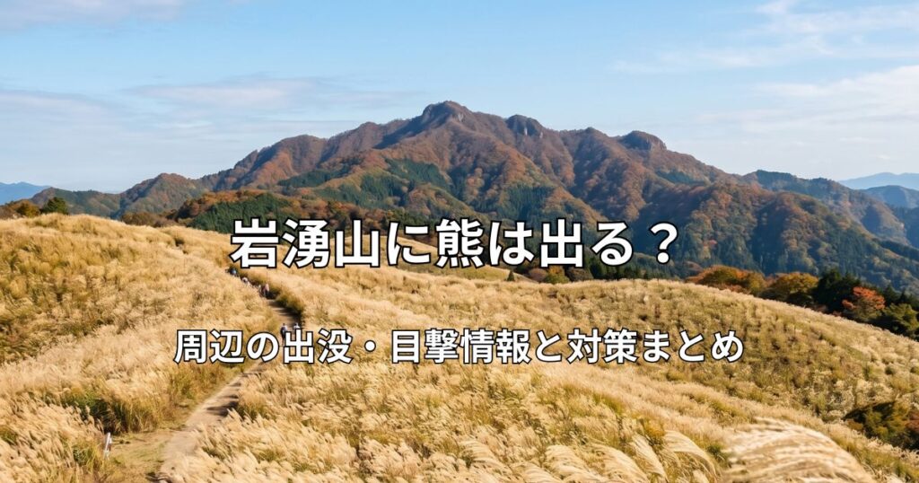 岩湧山山頂付近に広がる黄金色のススキの群生と、遠くにそびえる山並み、青空が広がる秋の美しい登山道の風景