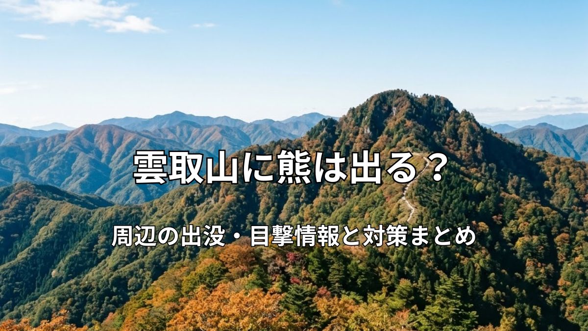 雲取山の山頂から望む美しい稜線と奥多摩の山並み