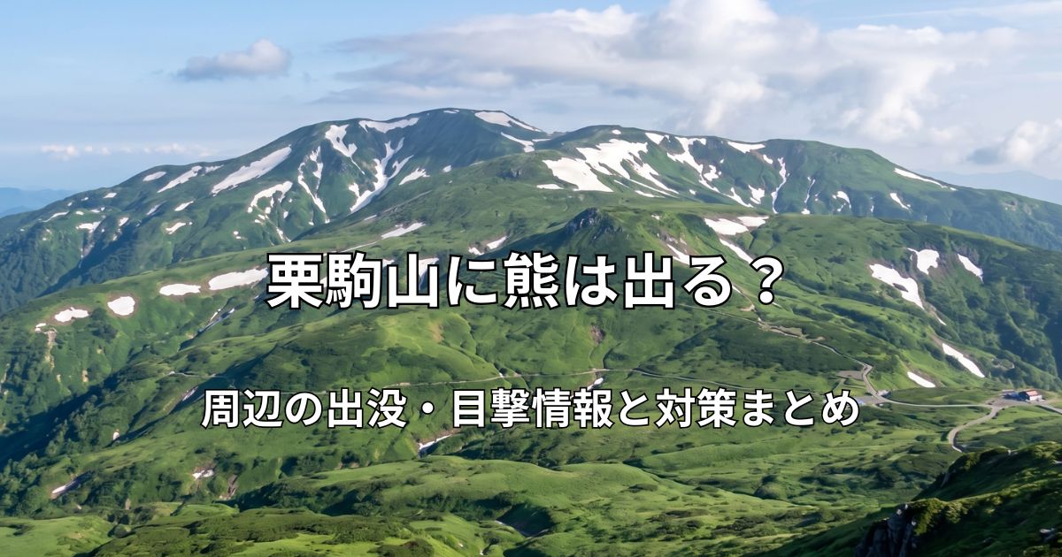 残雪が残る初夏の美しい栗駒山の山並みと緑豊かな高山植物の風景。2026年の最新クマ出没情報に関する注意喚起を含むブログ記事のアイキャッチ画像。