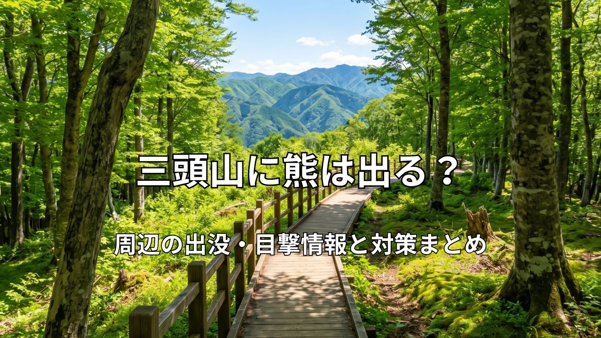 新緑が美しい三頭山の木道と奥多摩の山々
