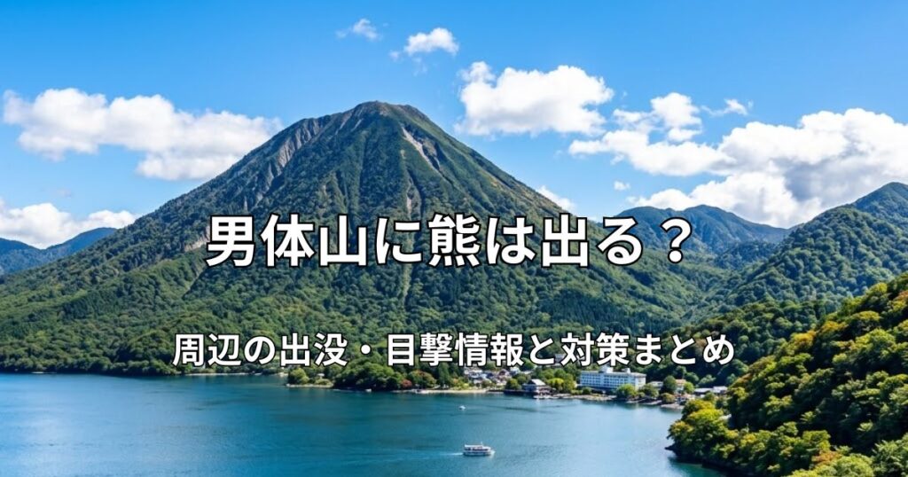 青空と白い雲の下、中禅寺湖の静かな青い水面の向こうにそびえる、緑豊かな中禅寺山（男体山）の壮大なパノラマ風景。手前には木々の緑と木製の遊歩道の手すりが見える。