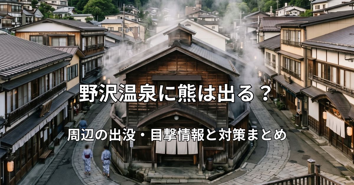 野沢温泉の象徴的な木造温泉施設と、石畳の通りに立ち上る湯気。浴衣姿で歩く観光客と周囲を囲む緑豊かな山々の風景。
