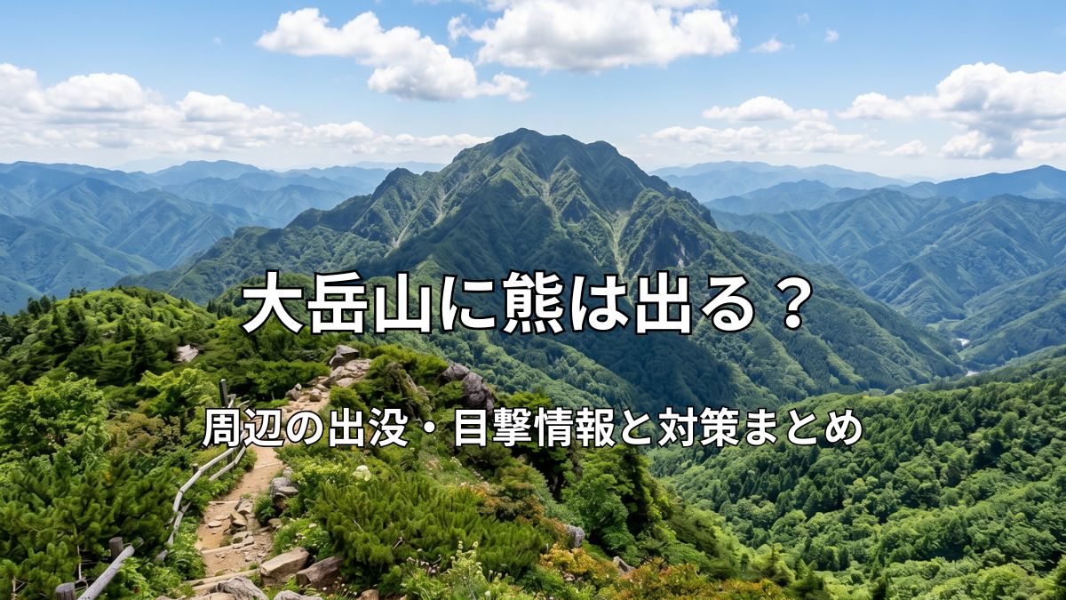 晴天の大岳山と緑豊かな登山道の風景