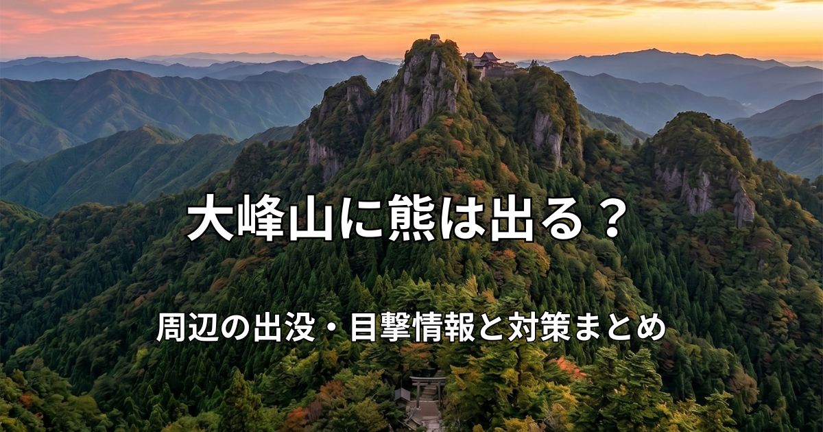 夕焼けのグラデーションの空を背景に、深い緑の森で覆われた急峻な山々が重なる大峰山脈の風景。