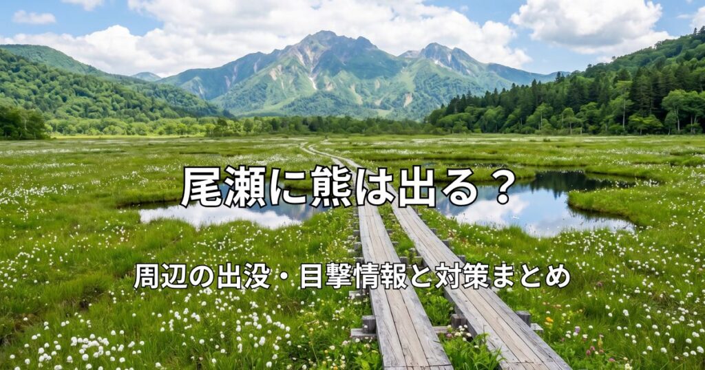 尾瀬ヶ原の湿原と木道、遠くにそびえる至仏山、水面に映る青空の風景