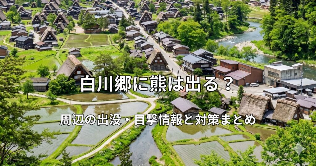 初夏の緑に囲まれた世界遺産・白川郷の合掌造り集落。展望台から見下ろす水田と歴史的な村落の全景。