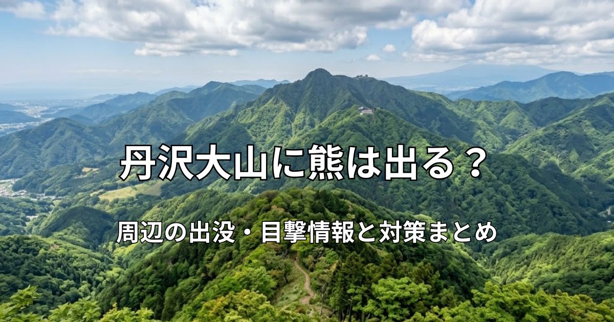 新緑に包まれた丹沢大山のパノラマ風景。山頂へと続く登山道と、遠くに広がる丹沢の山並みの全景。