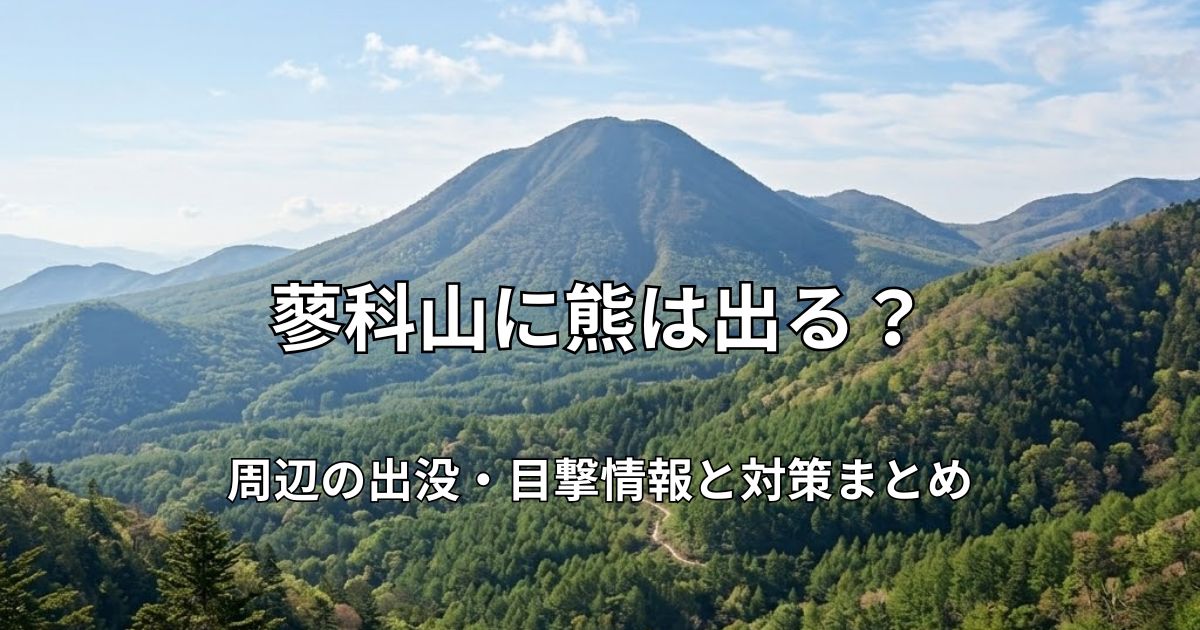 新緑に包まれた蓼科山の美しい山容と広大な森林風景