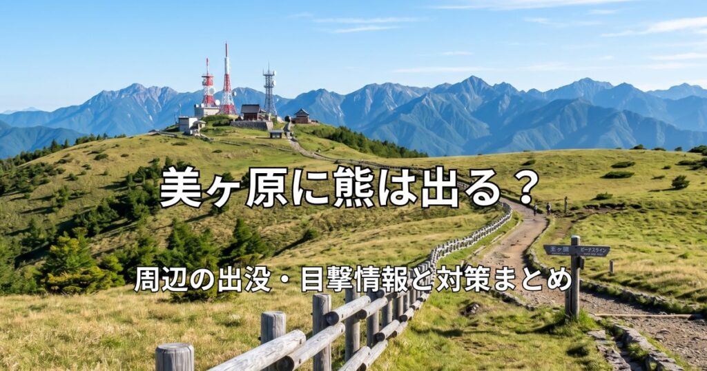 青空の下に広がる美ヶ原高原の広大な草原と、王ヶ頭へ続く遊歩道。遠くには北アルプスの山並みが見える風景。