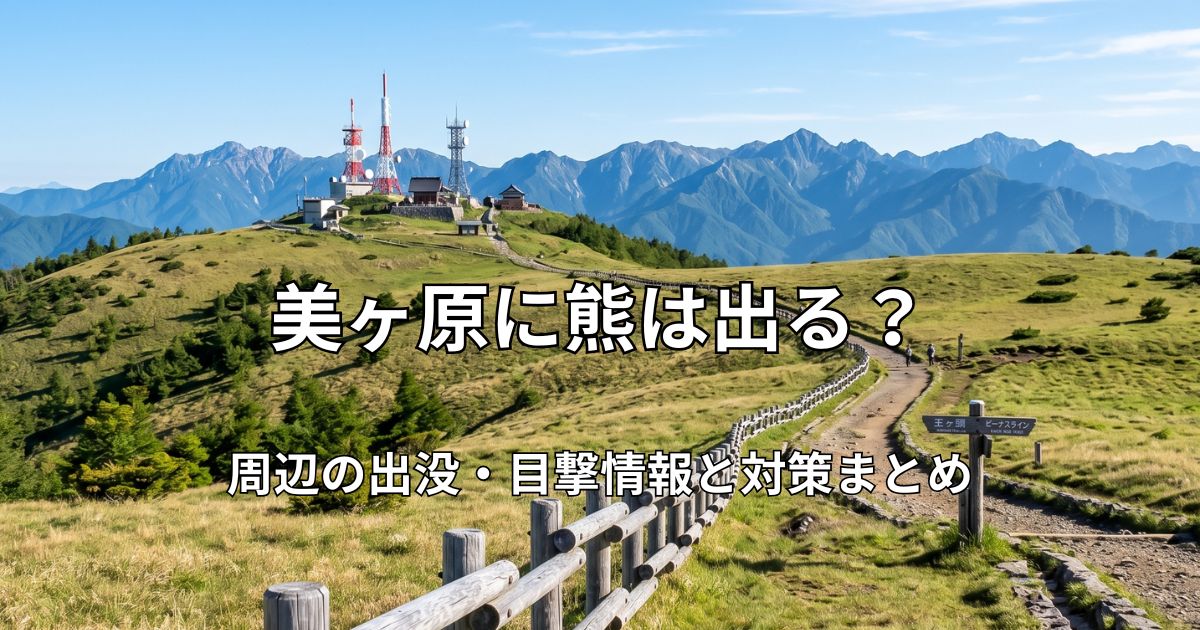 青空の下に広がる美ヶ原高原の広大な草原と、王ヶ頭へ続く遊歩道。遠くには北アルプスの山並みが見える風景。