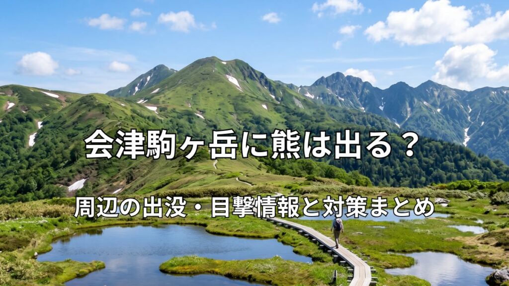 会津駒ヶ岳の山頂付近に広がる美しい山上湿原と、池塘の間を縫うように続く木道の風景