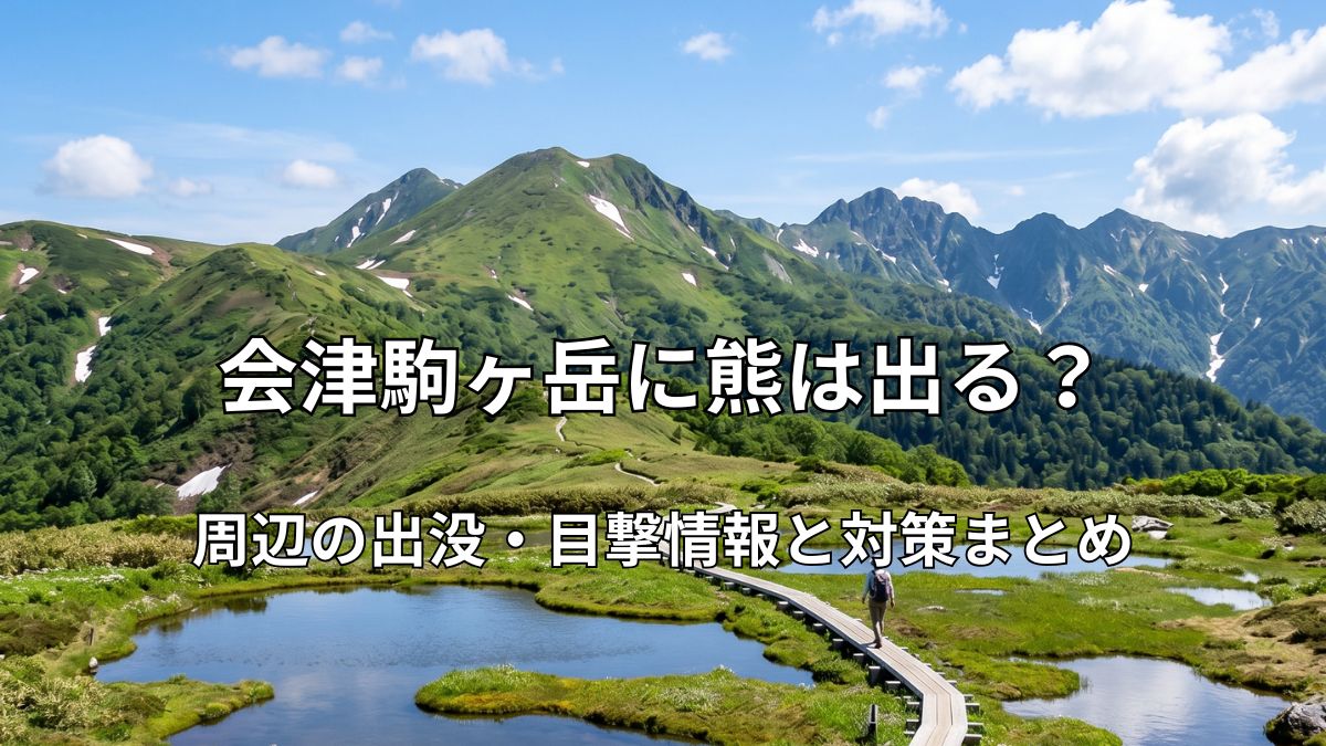 会津駒ヶ岳の山頂付近に広がる美しい山上湿原と、池塘の間を縫うように続く木道の風景
