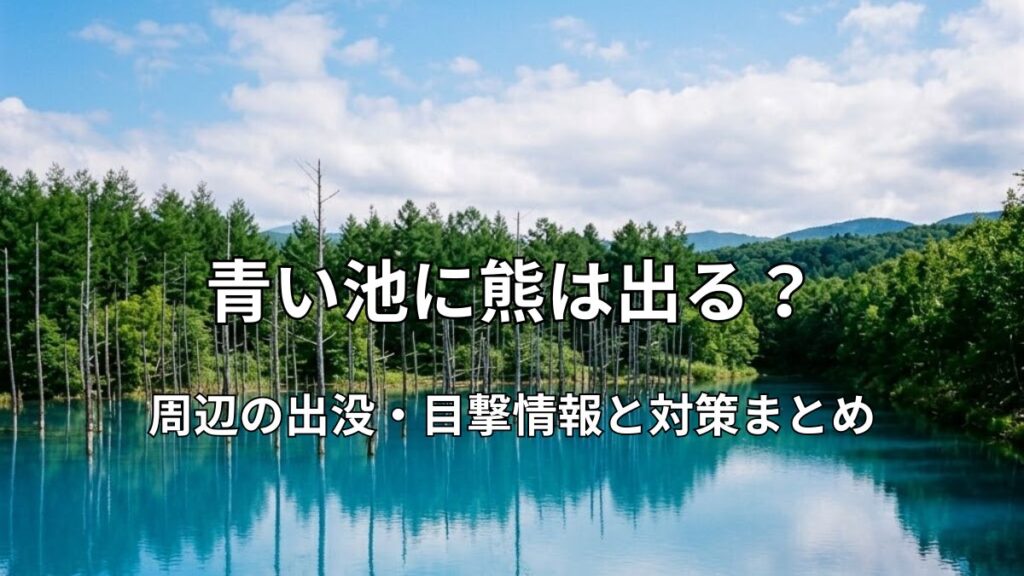 美しいコバルトブルーの水面と周囲の森が広がる北海道美瑛町「青い池」の風景