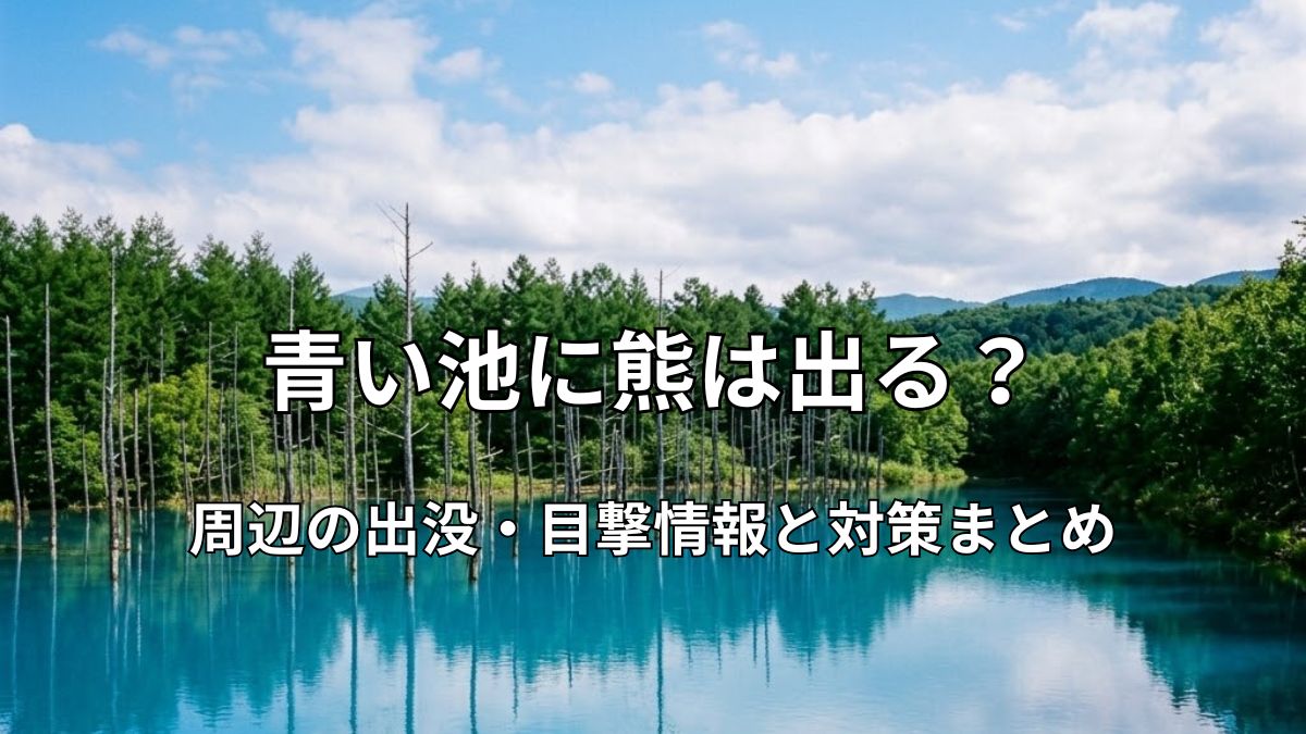 美しいコバルトブルーの水面と周囲の森が広がる北海道美瑛町「青い池」の風景
