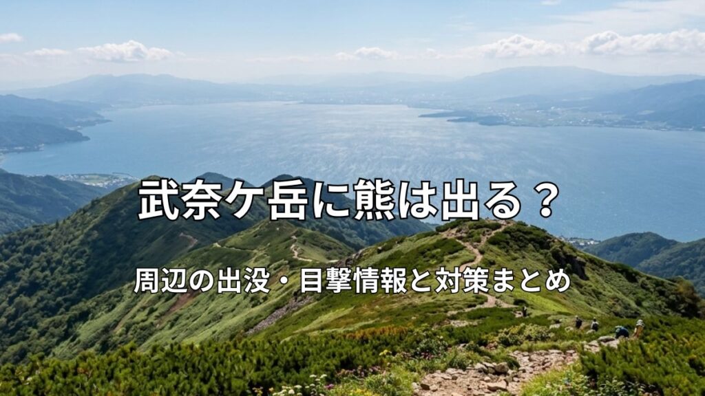 武奈ケ岳周辺の美しい山の稜線と眼下に広がる琵琶湖を望む登山道の画像