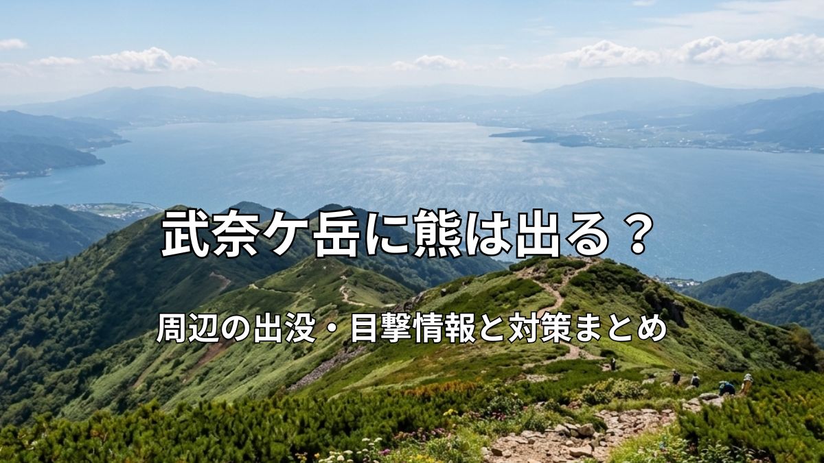 武奈ケ岳周辺の美しい山の稜線と眼下に広がる琵琶湖を望む登山道の画像