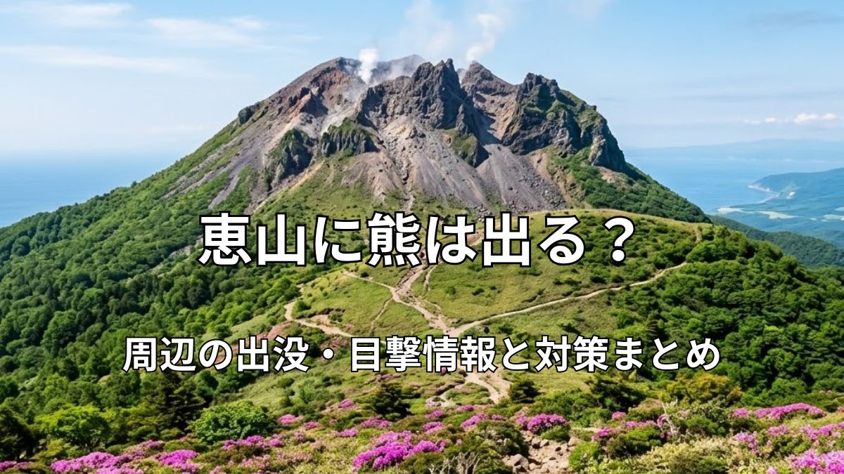 噴煙を上げる恵山の山頂と、手前に咲き誇るピンク色のつつじ、奥へと続く登山道の風景