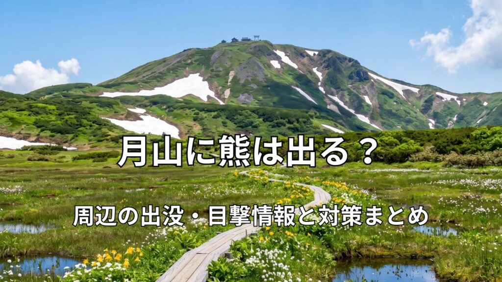 残雪の月山と高山植物が咲く弥陀ヶ原湿原の木道