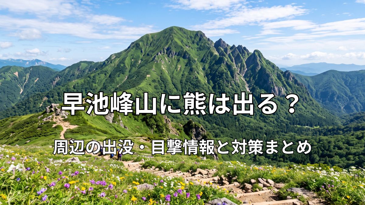 高山植物が咲き誇る夏の早池峰山と登山道の風景