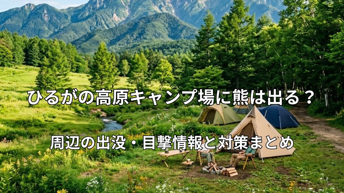 ひるがの高原キャンプ場をイメージした緑豊かなテントサイトの風景