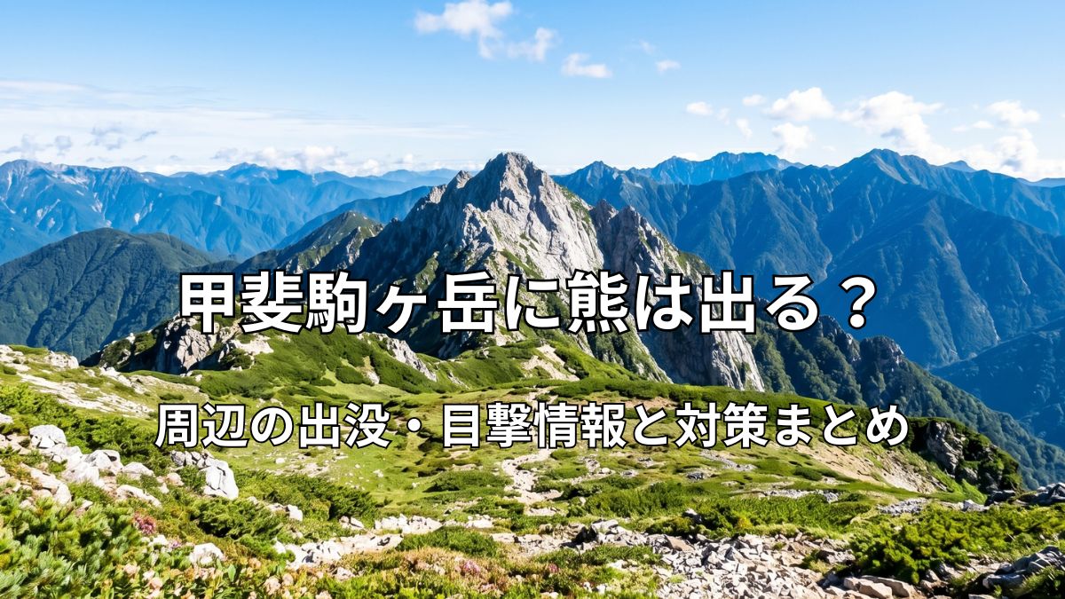 夏の甲斐駒ヶ岳の美しい山容と自然豊かな登山道の風景