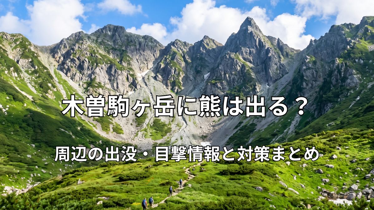 晴天の木曽駒ヶ岳と千畳敷カールの美しい高山風景の中を歩く登山者たち
