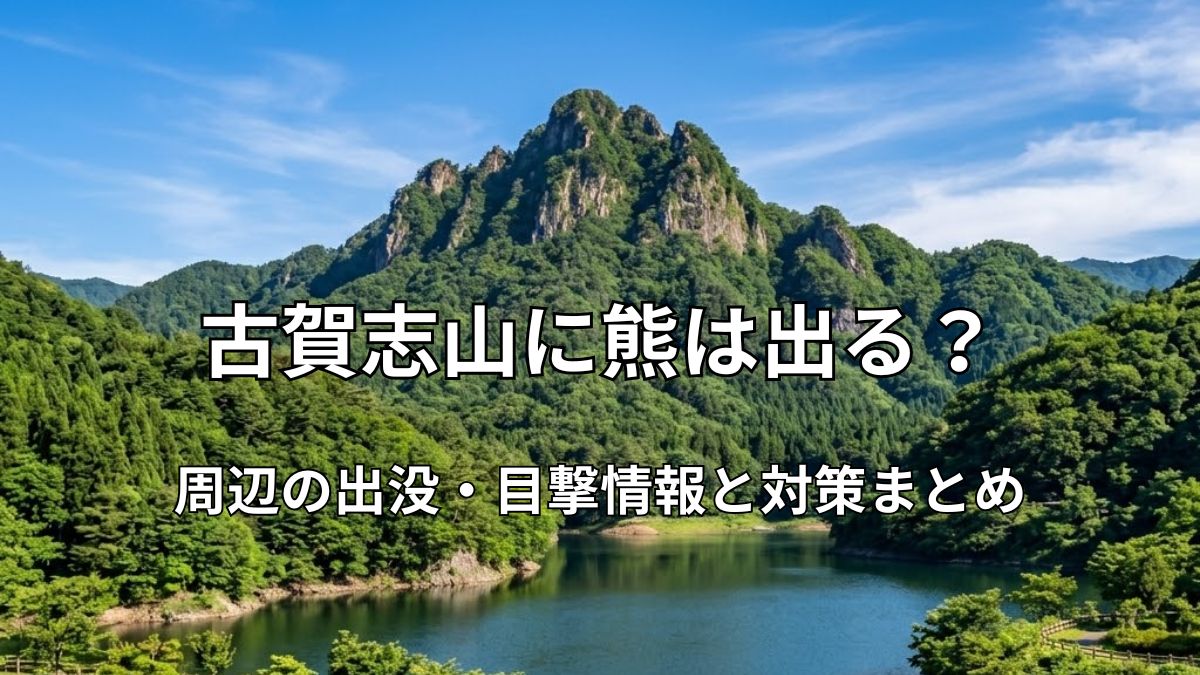 青空の下に広がる自然豊かな古賀志山と赤川ダム周辺の風景