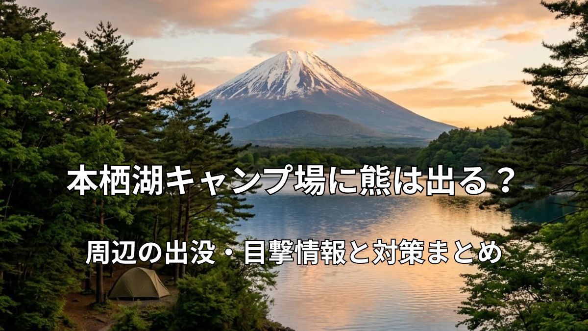本栖湖畔の森に張られたテントと富士山の美しい絶景