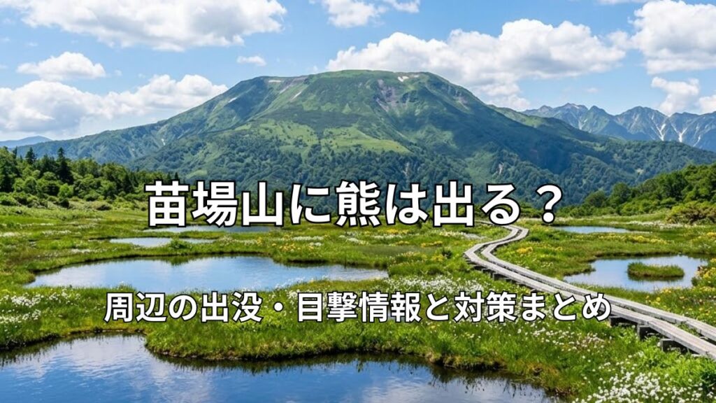 夏の苗場山に広がる高層湿原と木道の美しい風景