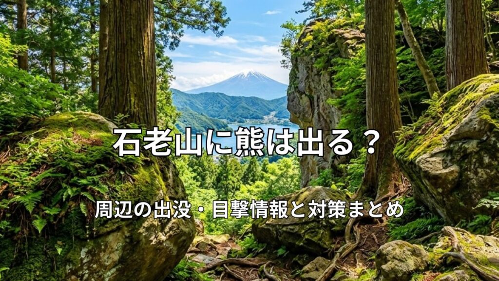 石老山の苔生す岩と杉木立の登山道から望む相模湖と富士山の絶景