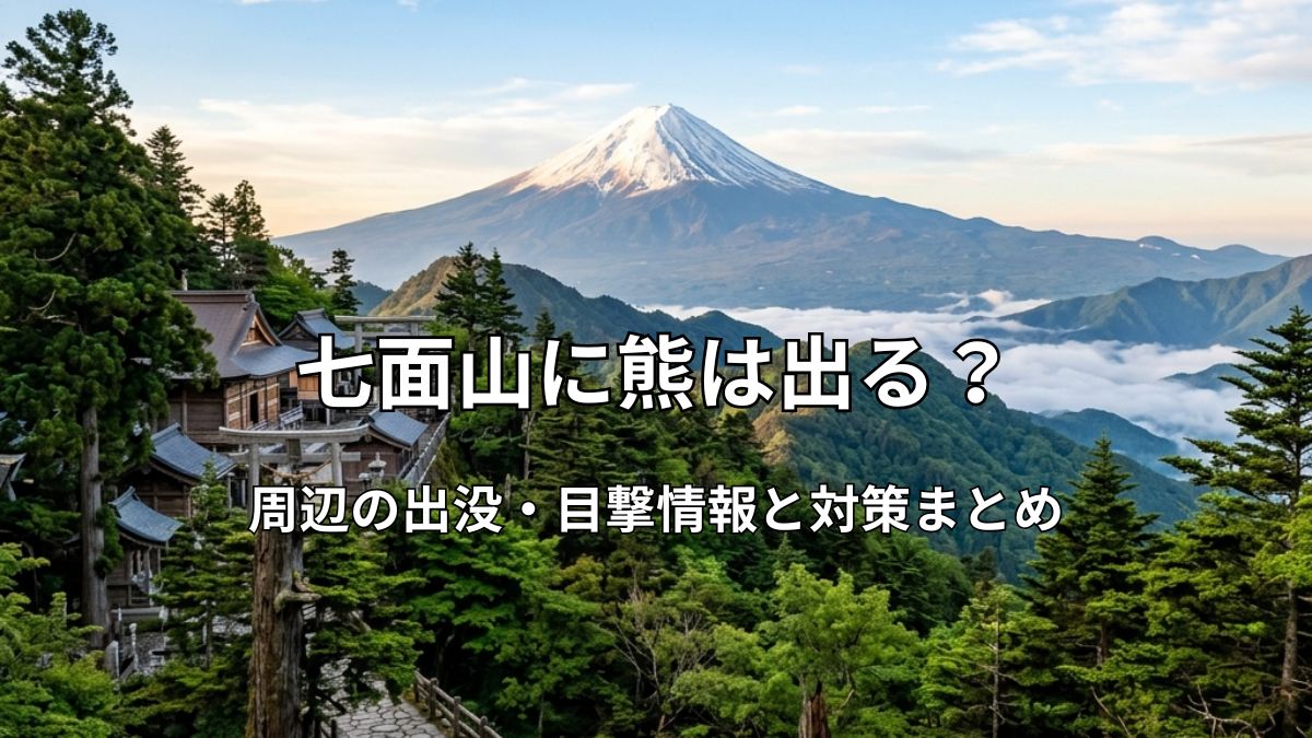 富士山と雲海を望む七面山の参道と豊かな森の風景
