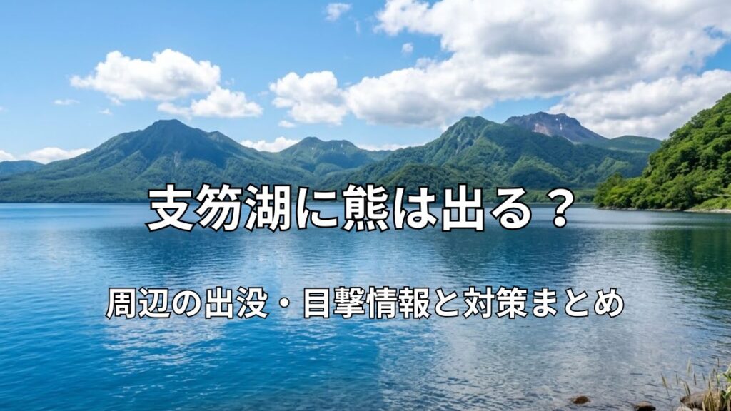 支笏湖の美しい湖畔と連山の風景