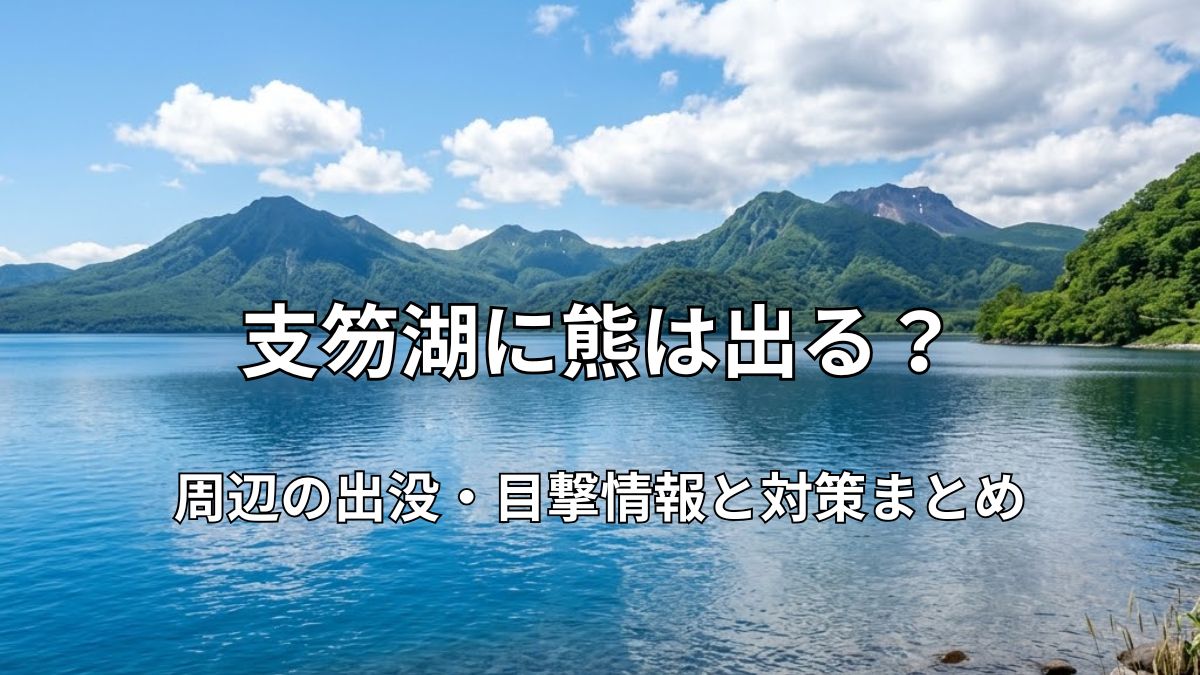 支笏湖の美しい湖畔と連山の風景