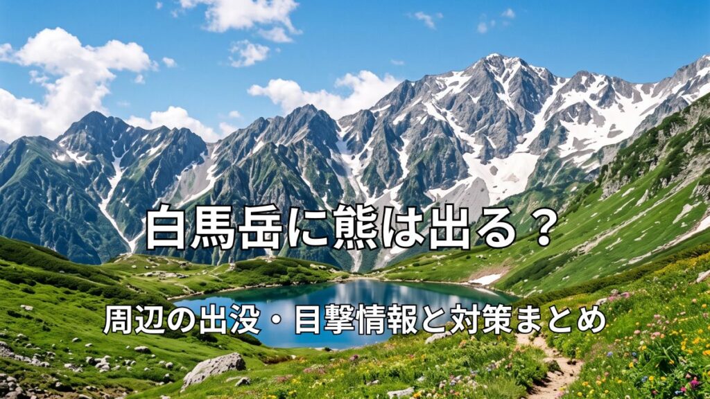 初夏の残雪が残る白馬岳と、青く美しい白馬大池、手前に広がる高山植物のお花畑と登山道