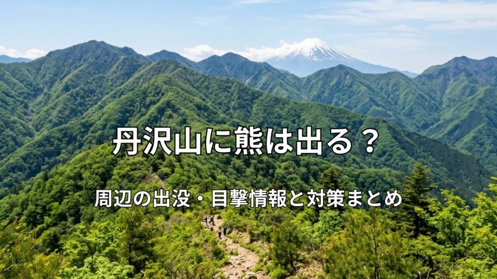 丹沢山の緑豊かな稜線と登山道、遠くに富士山を望む美しい風景