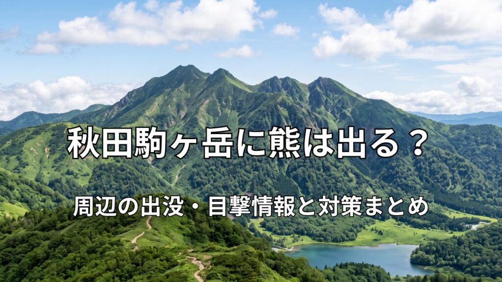 青空の下に広がる秋田駒ヶ岳の壮大な山々と、手前の登山道に咲き誇る黄色や白の高山植物の美しい風景