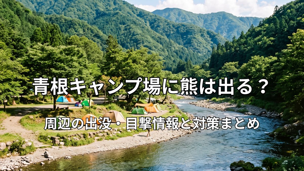 緑豊かな丹沢山地の山々と、透き通った道志川のほとりにカラフルなテントが並ぶ青根キャンプ場の風景