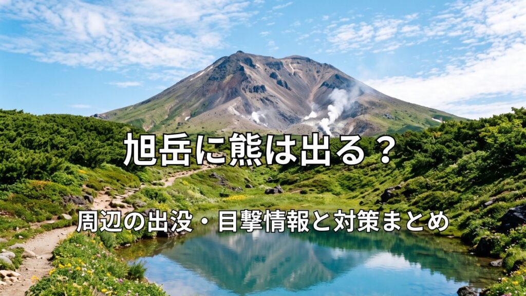 青空の下にそびえ立つ大雪山・旭岳と、手前に広がる美しい姿見の池、周囲に咲く高山植物の風景