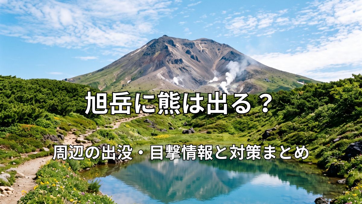 青空の下にそびえ立つ大雪山・旭岳と、手前に広がる美しい姿見の池、周囲に咲く高山植物の風景