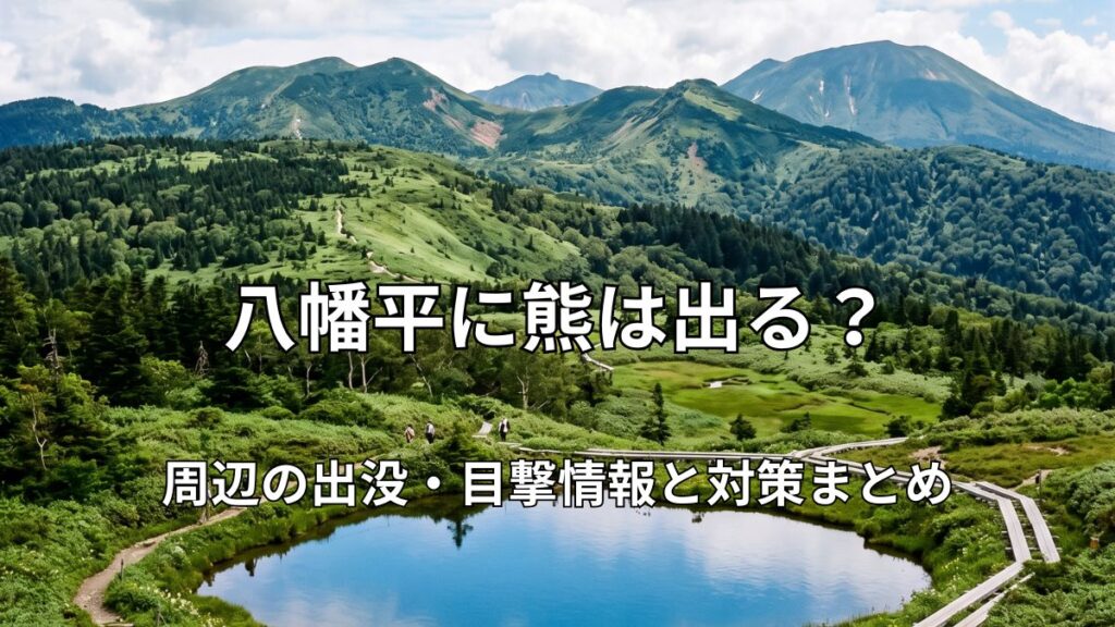 霧が晴れた八幡平の鏡沼と木道、遠景の山々の美しい風景