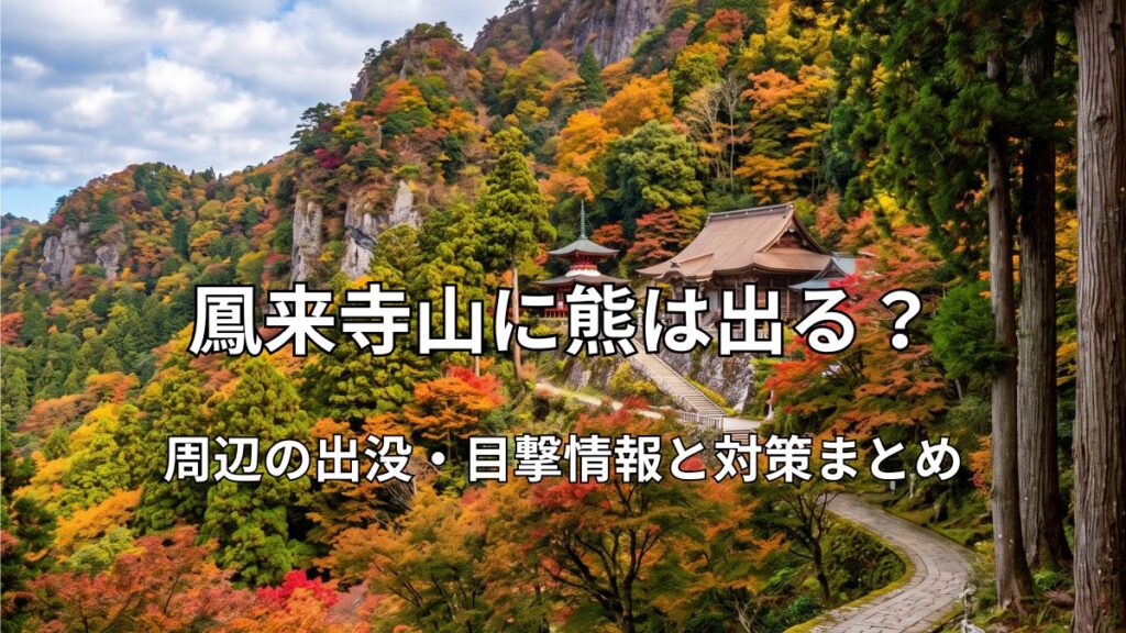 鳳来寺山の参道と紅葉した山々の風景