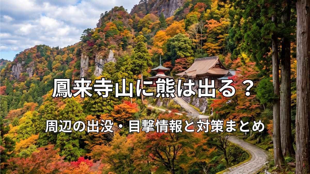 鳳来寺山の参道と紅葉した山々の風景